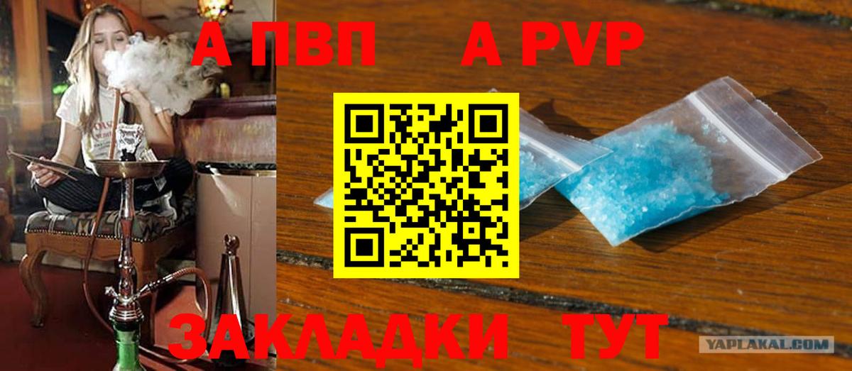 Альфа ПВП СК КРИС Коряжма