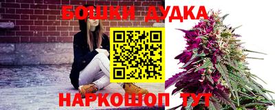 прущие грибы Краснодар