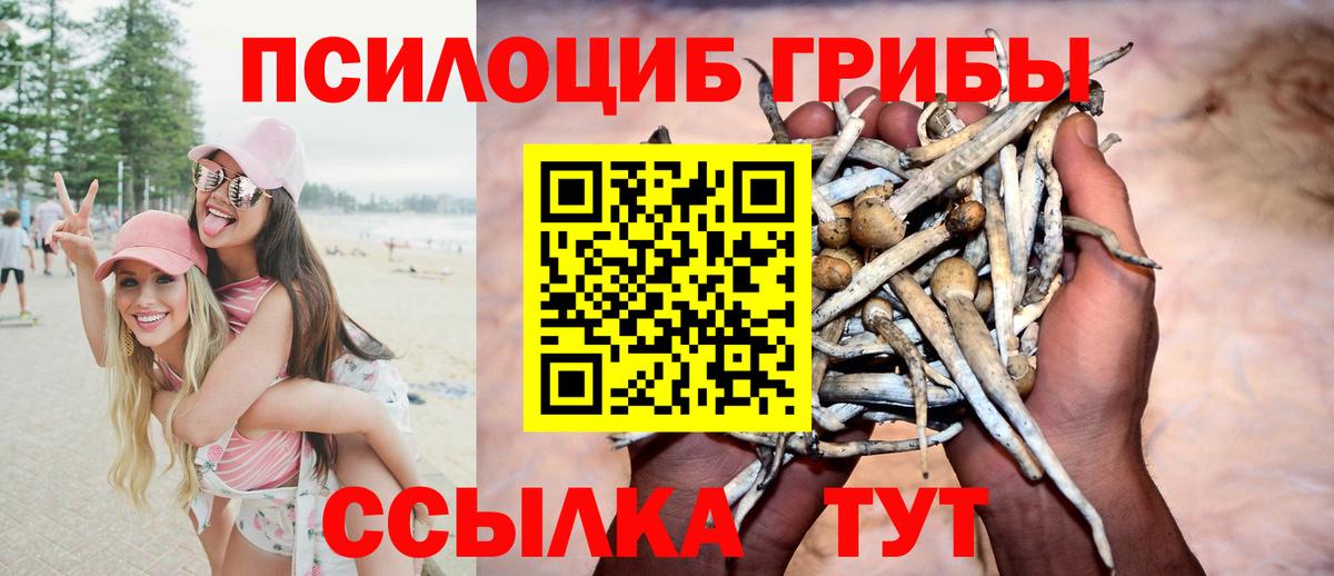 Коряжма  Галлюциногенные грибы MAGIC MUSHROOMS  Вход с VPN 